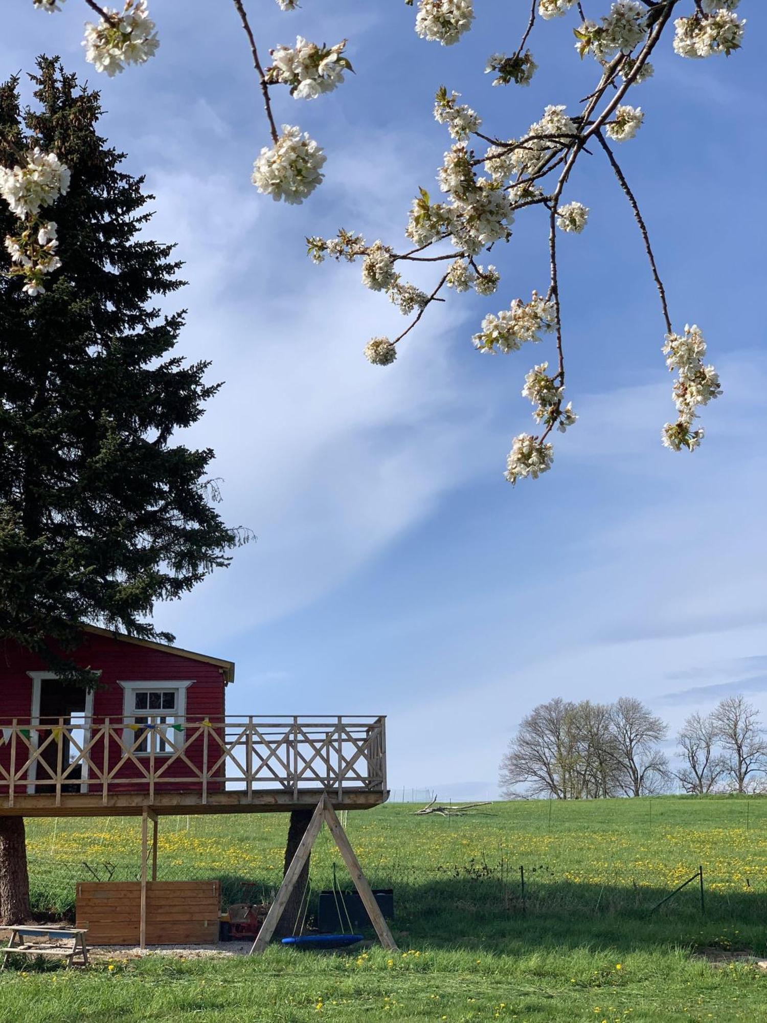 Ferienwohnung-Familienidylle-Im-Vogtland-80Qm Neumark  Kültér fotó